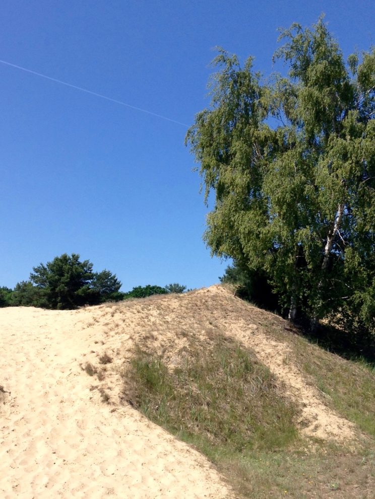 Binnendünen bei Altwarp