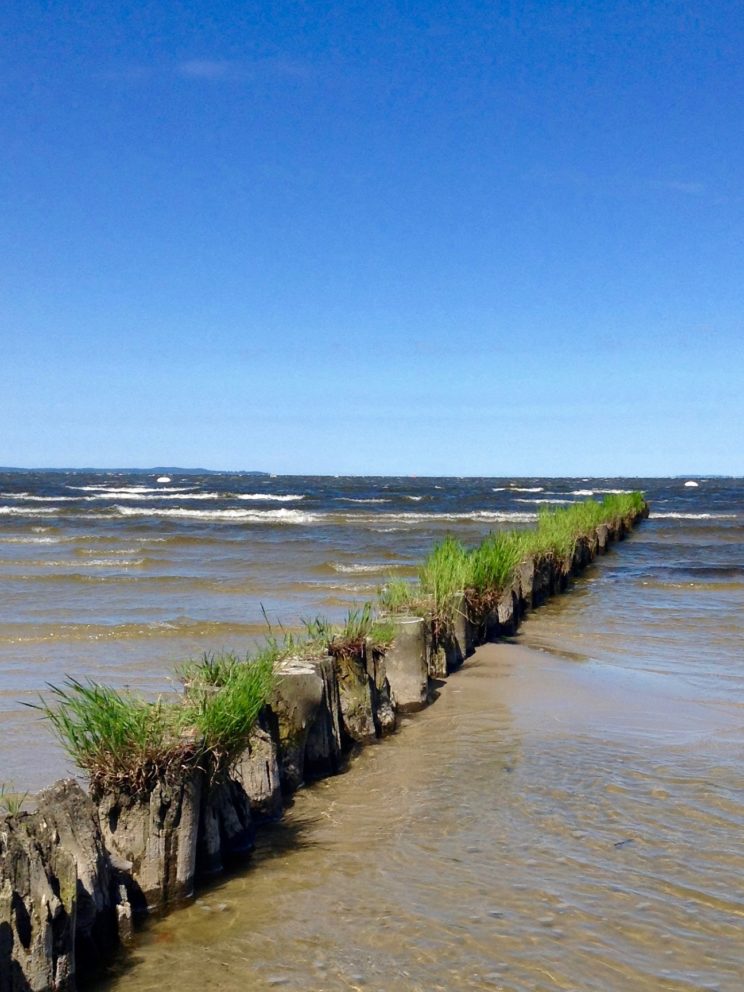 Mit Gras bewachsene Buhen am Strand von Ueckermünde
