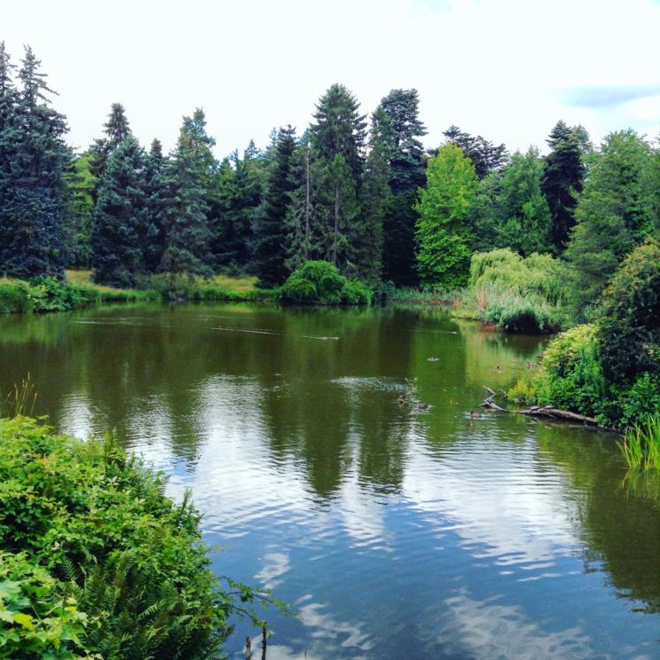 Außengelände Botanischer Garten Berlin