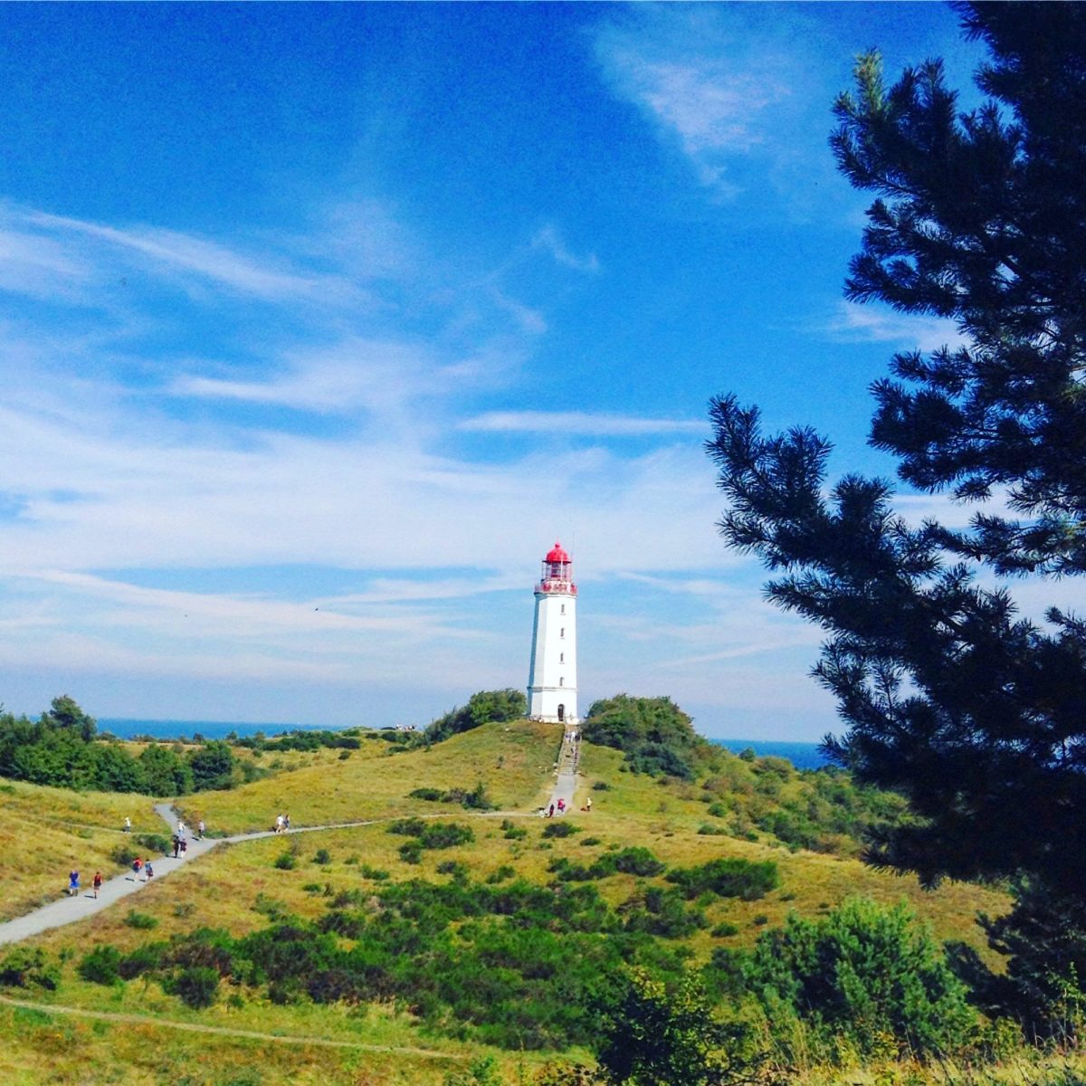 Leuchtturm Dornbusch