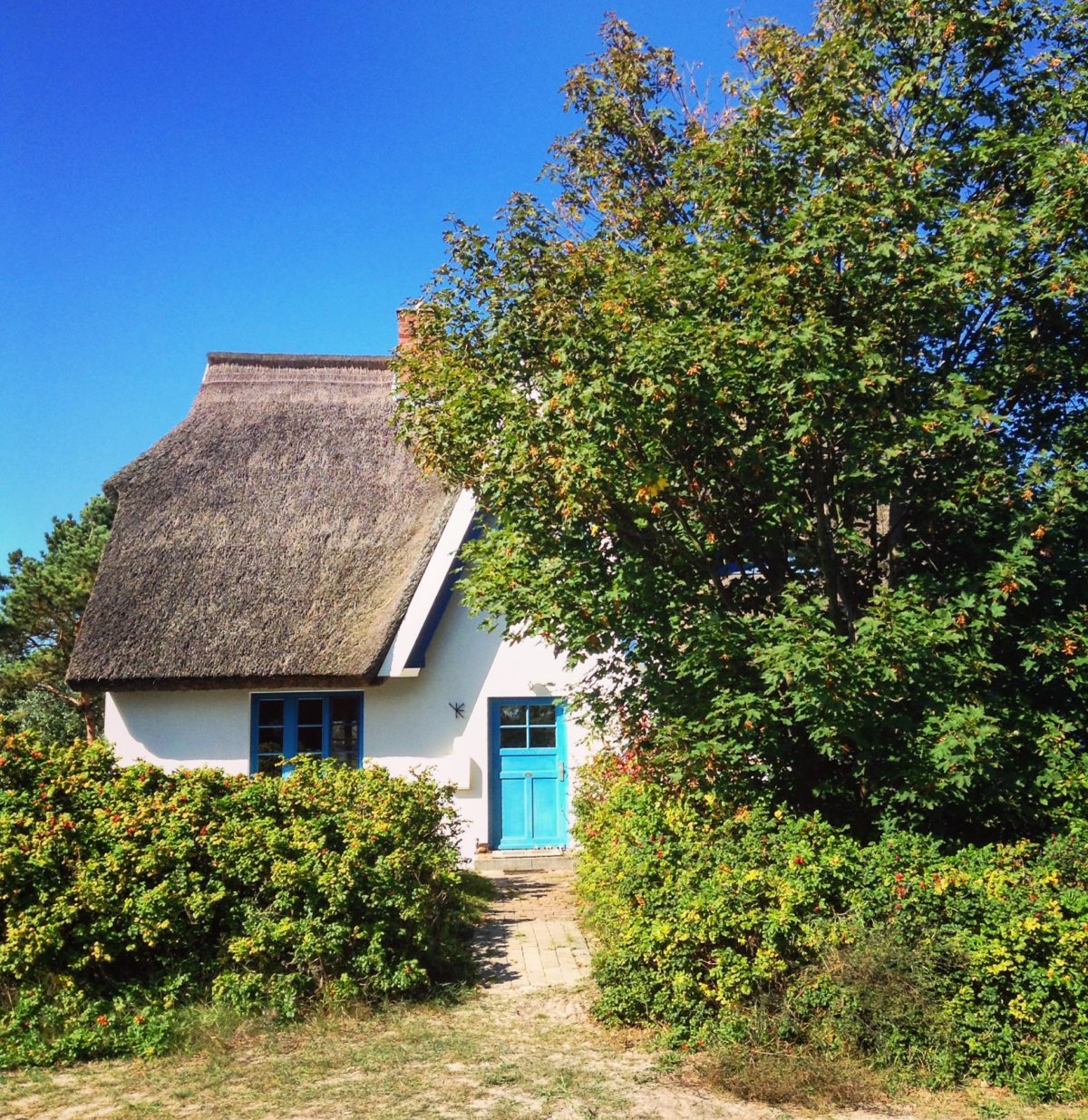 Häuschen in der Dünenheide auf Hiddensee