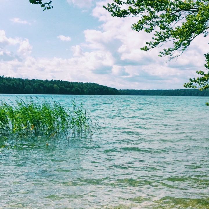 Blick über den Stechlin