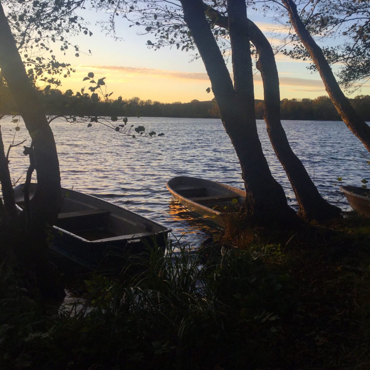 Ruderboote am See