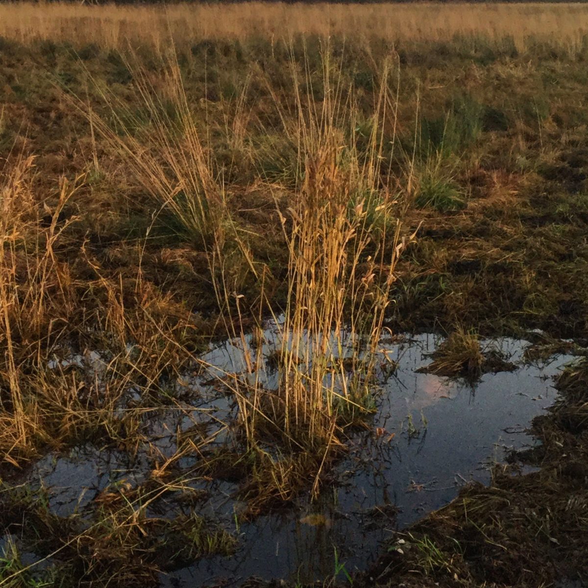 Herbstliche Landschaft