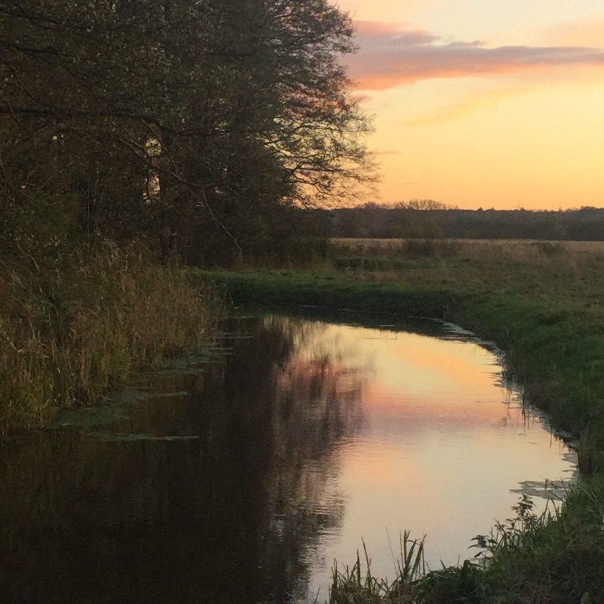 Herbstliche Landschaft im Abendlicht