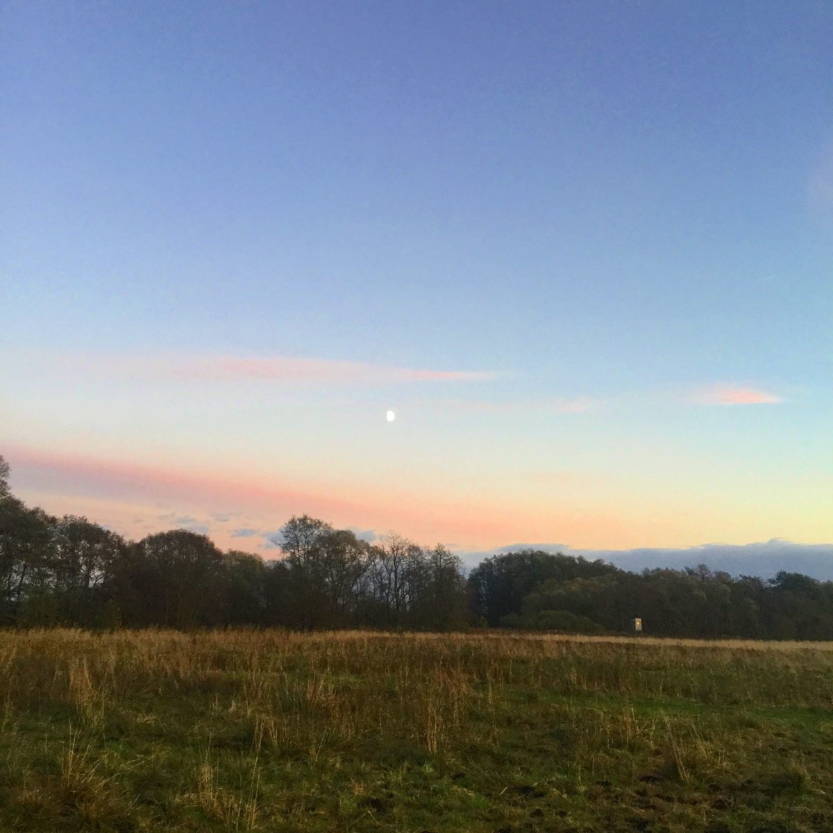 Hochsitz in abendlicher Herbstlandschaft