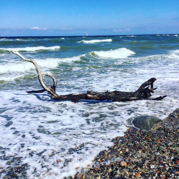 Ostsee bei Nienhagen