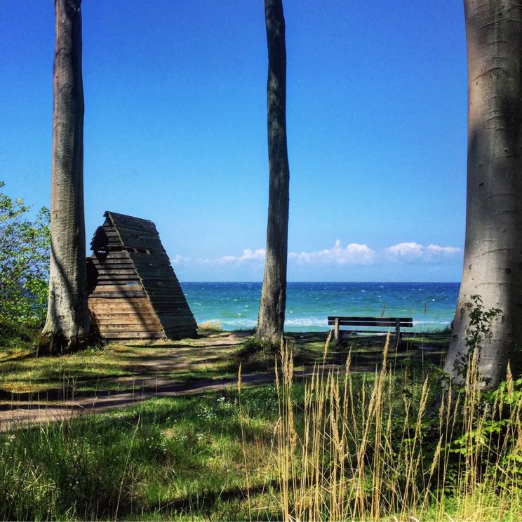 Bank und kleine Schutzhütte mit Blick auf die Ostsee im Gespensterwald bei Nienhagen